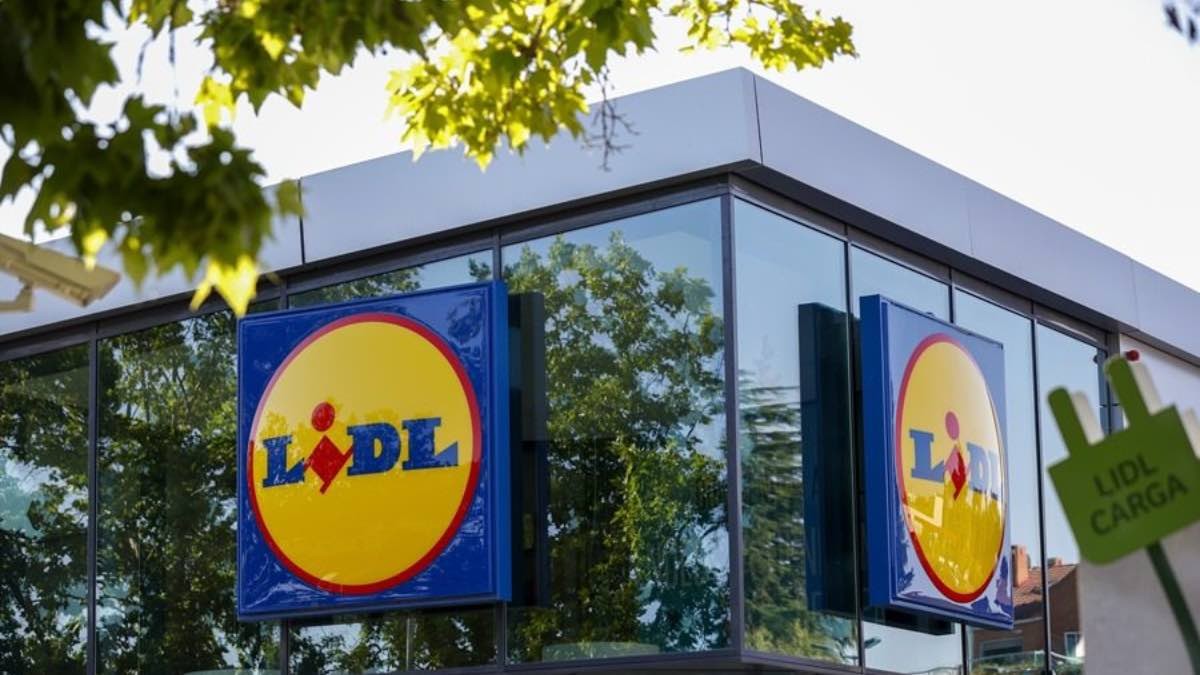 Lidl reduces the electric fireplace that also serves as decorative lighting like never before: by 50%