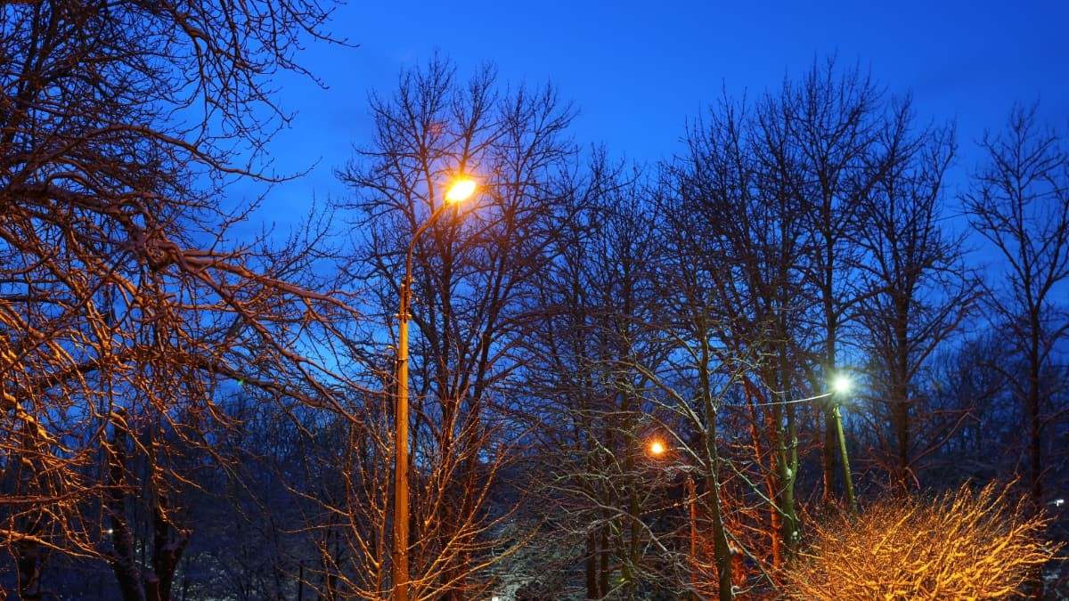 Light price today, January 28, for hours: when is cheaper and more expensive