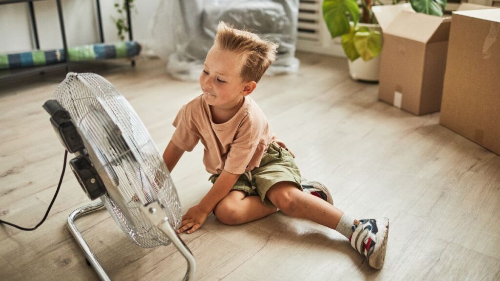 The price of light today, August 8, 2025: the cheapest hours and faces within the PVPC