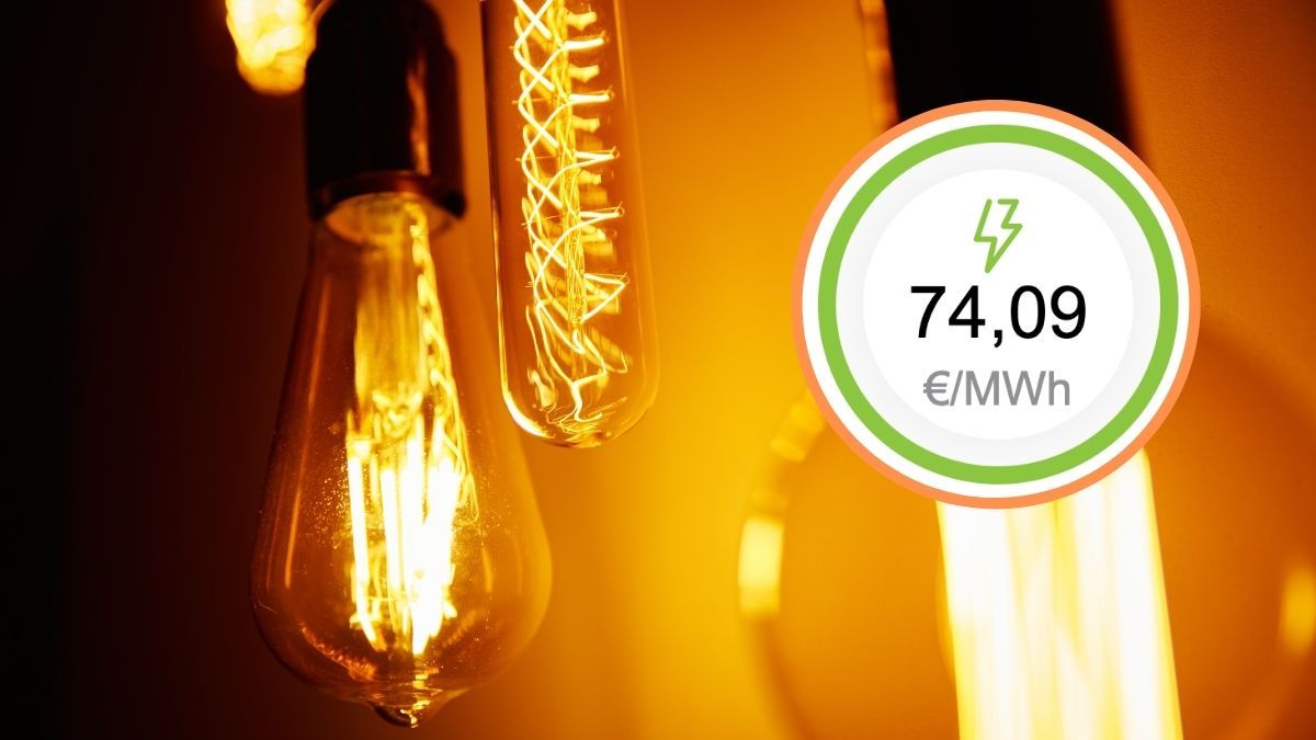 Price of the light tomorrow, August 8, for hours: when is cheaper and more expensive in the day
