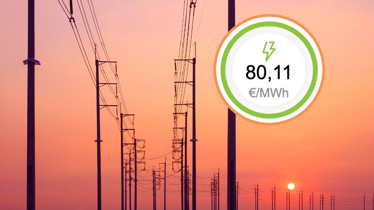 The price of light tomorrow, August 11, is triggered: these are the cheapest hours and faces