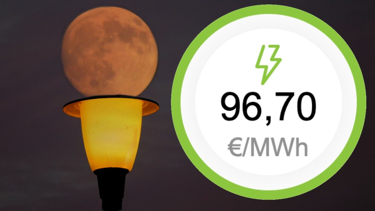 Price of the light tomorrow, Thursday, August 14, for hours: when is cheaper and more expensive in the day