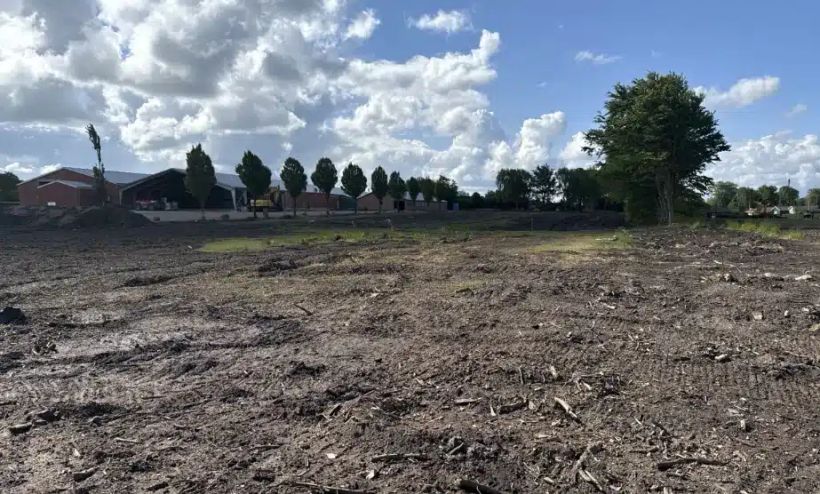 The field where money was discovered