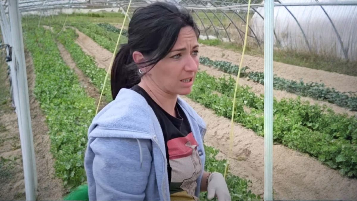 A farmer speaks clear about little profitable that is living from the countryside in Spain: "I preferred to throw it before selling it at losses"
