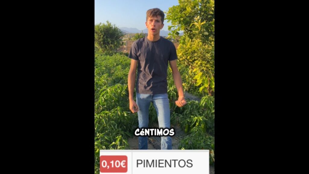 David Tomé, farmer: "It cannot be that we sell the peppers to 10 cents per kilo and in the supermarket they cost 2.69 euros. Who is getting rich to my coast?"