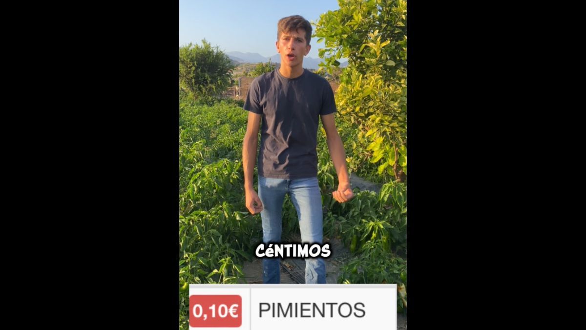 David Tomé, farmer: "It cannot be that we sell the peppers to 10 cents per kilo and in the supermarket they cost 2.69 euros. Who is getting rich to my coast?"
