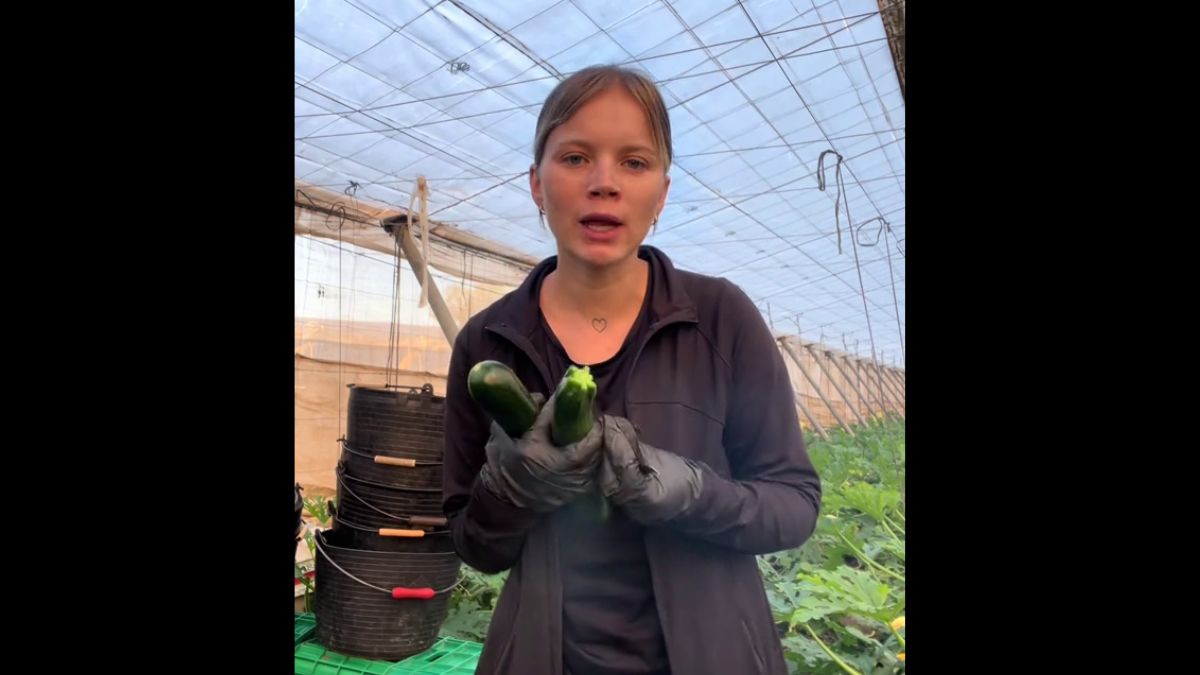 Samanta, farmer: “They say we pay poorly, but farmers pay what we can because most of the time we sell at ridiculous prices”