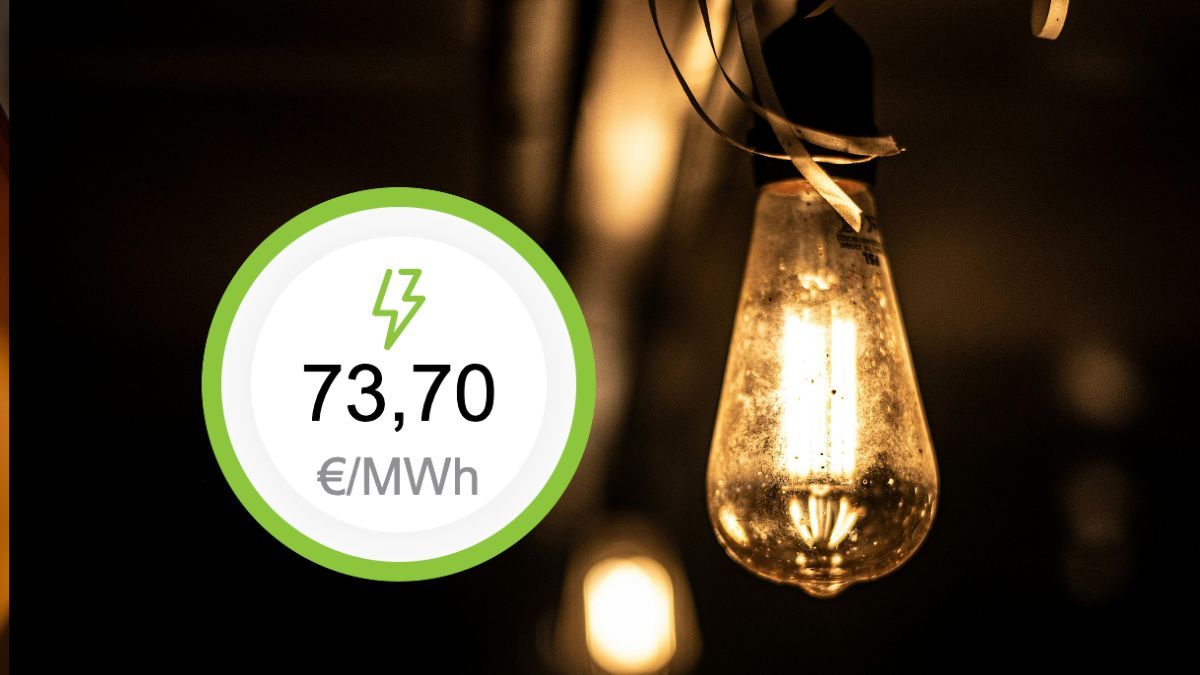 The price of electricity tomorrow Saturday, October 11, 2025 by hour: when is it cheapest and most expensive on the day