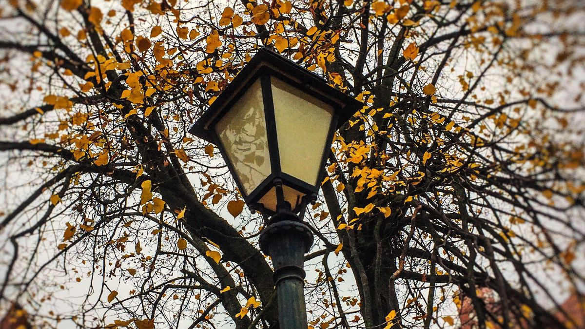 Hourly electricity price tomorrow, Tuesday, November 4, 2025: when is it cheapest and most expensive