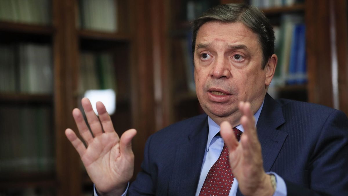 The BOE confirms the confinement of breeding birds in all Spanish farms due to avian flu