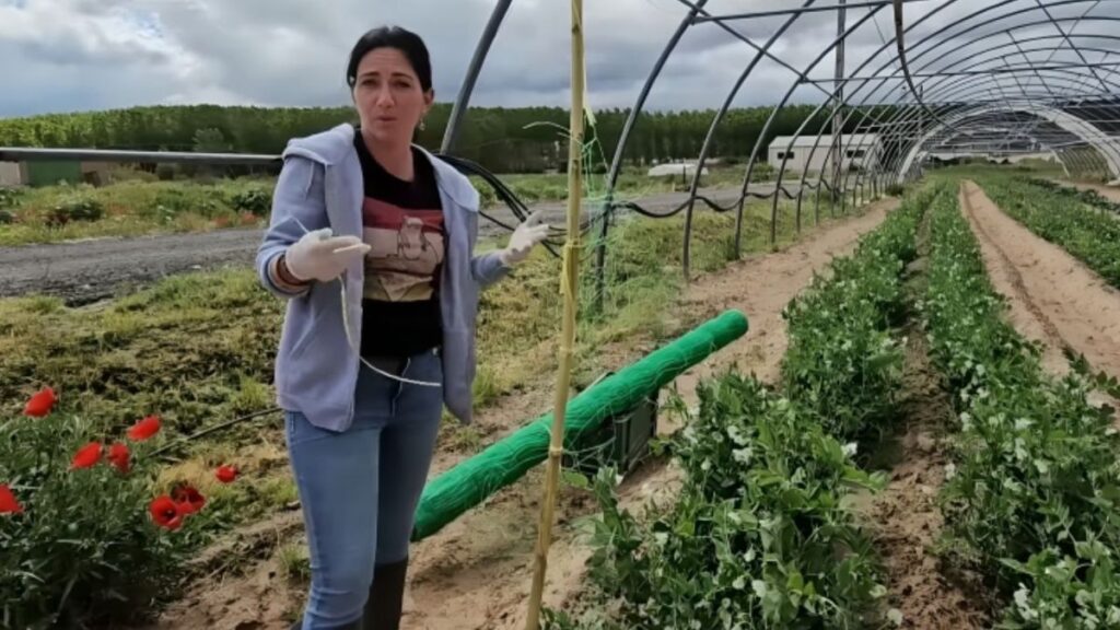 Clara, farmer, about the Spanish countryside: “I threw away my harvest rather than selling it at half price, it seems like they want to get us out of the way”