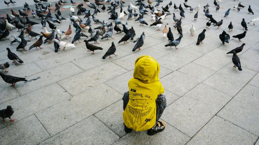 Fines of up to 2,400 euros for feeding pigeons on public roads in this Madrid city