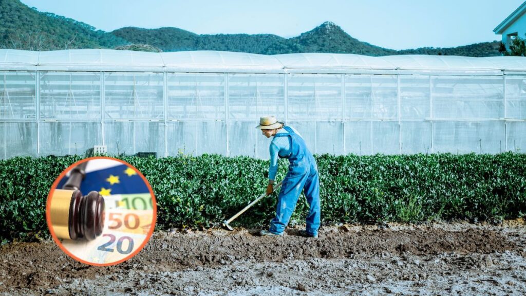 They withdraw 27,000 euros from the CAP and fine a farmer with 14,593 euros for leasing land to a company without permission from the owners: the TSJ confirms that there was no "appearance of truth" in the contracts