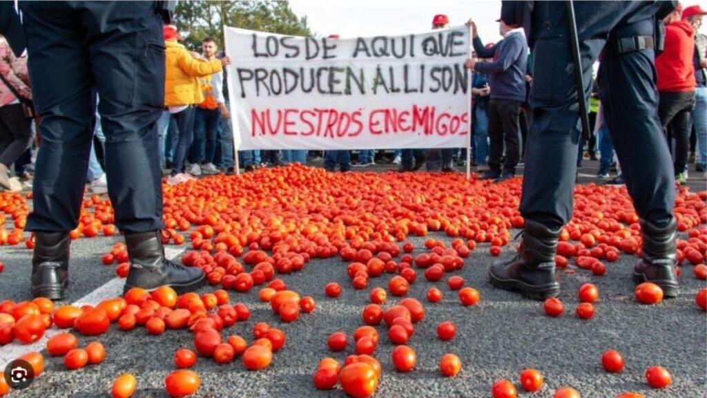 They denounce the concealment of the European Commission regarding Moroccan tomato imports