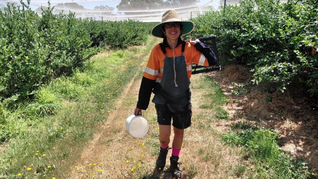 Nerea, Spanish seasonal worker in Australia: "I have earned 2,078 euros net for 5 weeks bending my back under the sun. Financially it is not worth it"