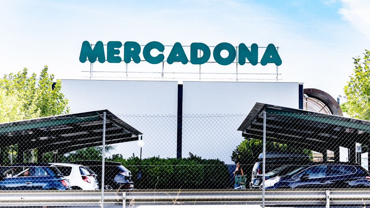 Kilometer-long queues are expected for Mercadona's great novelty: a reparative hair treatment to look great hair for less than 4 euros