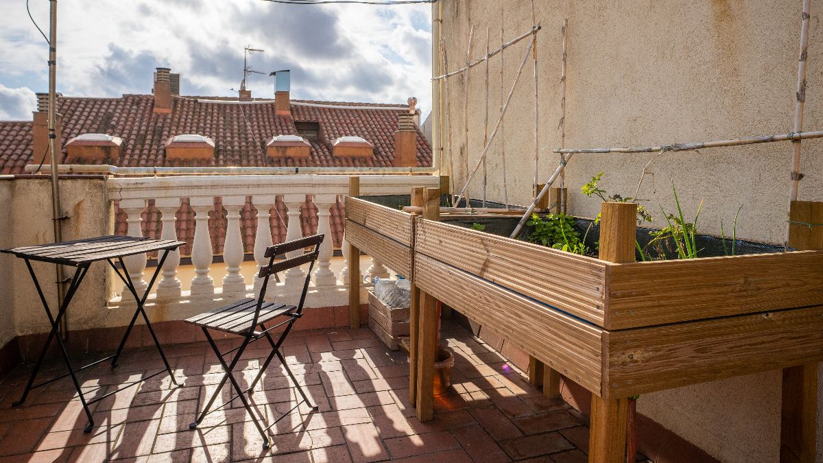 A community of neighbors sues an owner for putting an urban garden with tomatoes on his private terrace: the court says it is a harmful activity and orders its removal