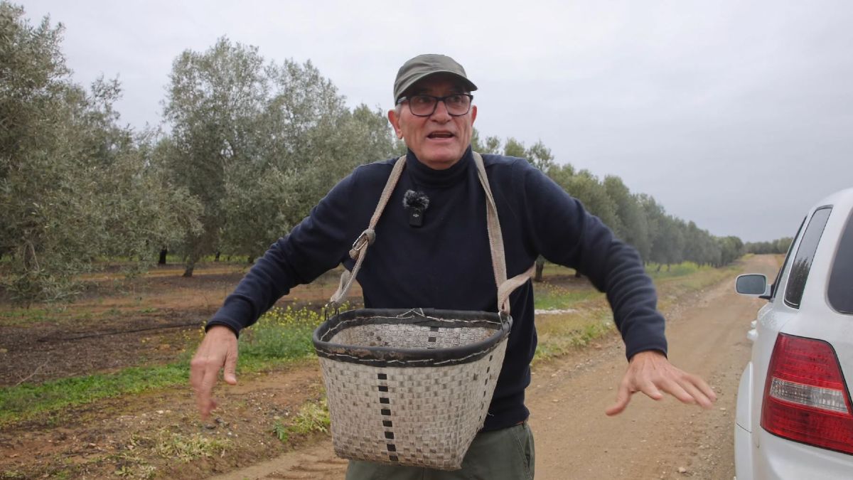Diego Cañamero, 69 years old, retired politician: “I collect 798 euros in pension and I have to look for olives to live”