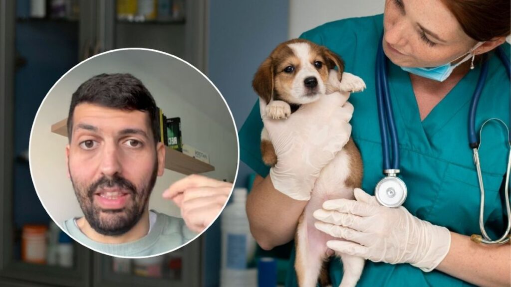 José Ramón López, tax expert: "Everyone should ask for bills from the vet, if you have a pet you can now deduct these expenses from your income."