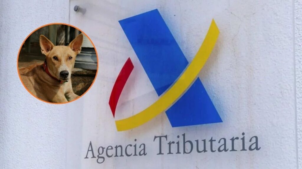 The Treasury confirms a deduction of 100 euros for having a dog in this autonomous community