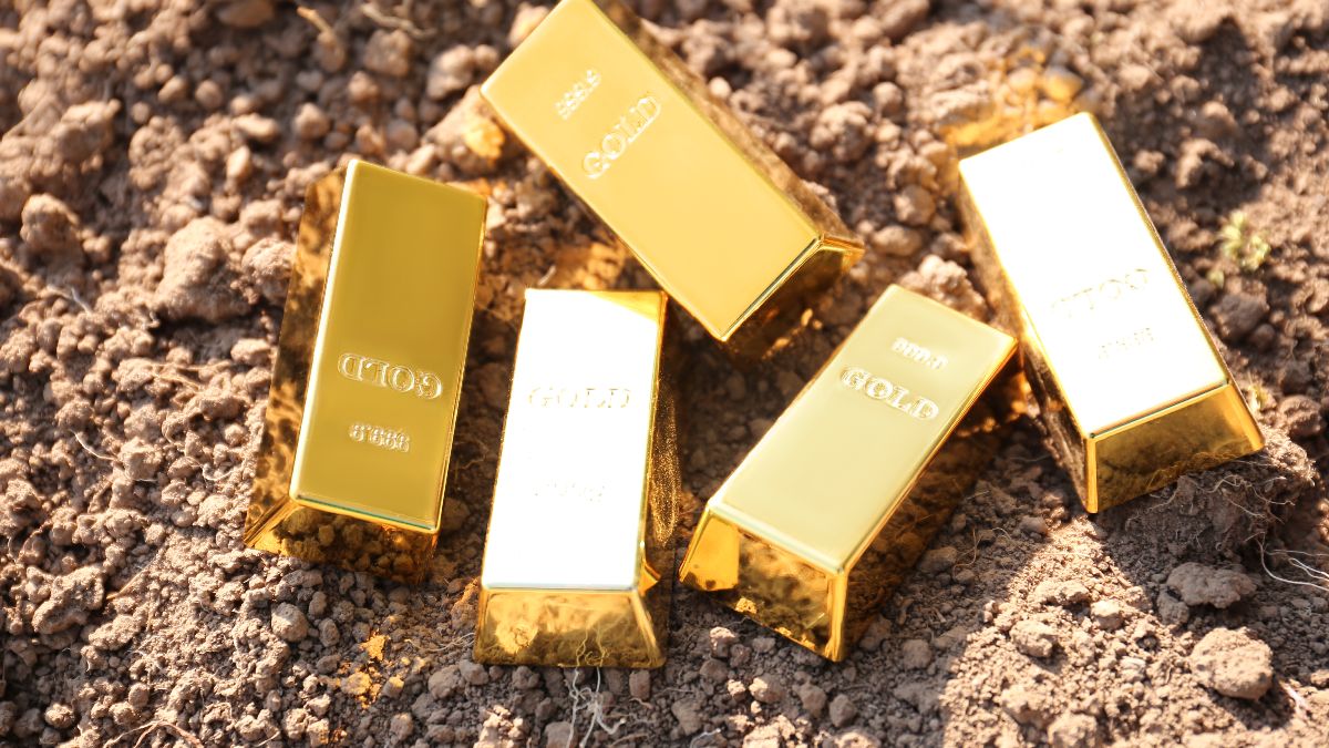 A gardener finds 40,000 euros in gold bars buried while mowing the lawn and the city council says that “the treasure is his”