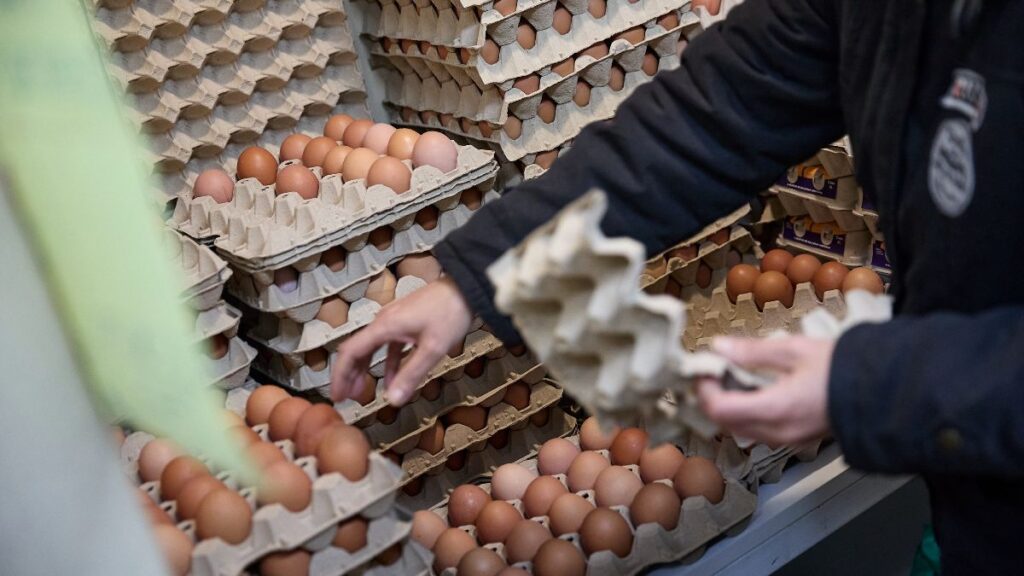 The price of eggs from today in the main supermarkets: Mercadona, Lidl, Carrefour