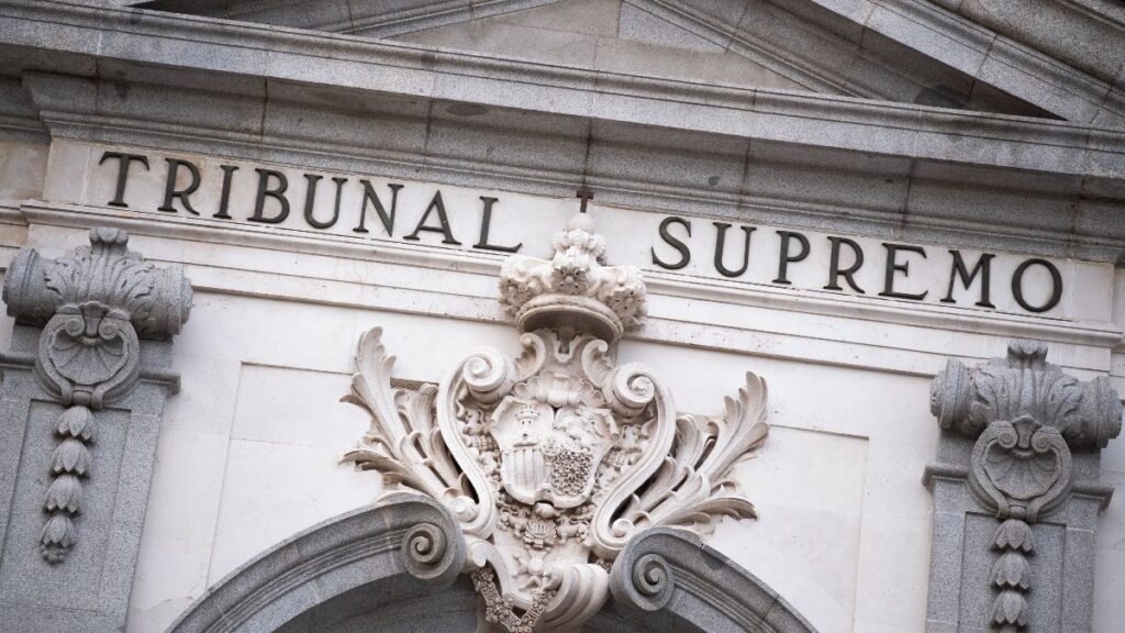 The Supreme Court establishes that subsidy contributions for those over 52 years of age do not count as income for the non-contributory pension