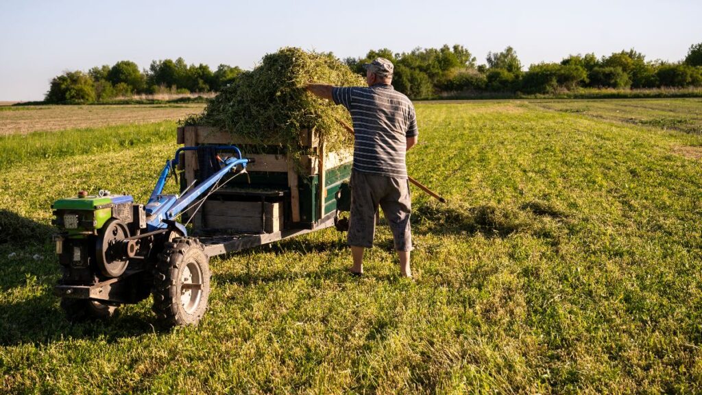 A farmer loses his first harvest after an illegal 'rave' party on his land: 200 people camped out on his farm ready to mow