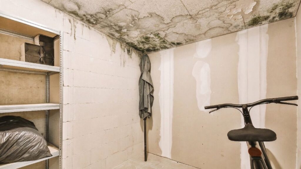 A neighbor reports leaks in her storage room and an expert concludes that the community's repairs were 'botched': Justice forces the roof to be properly repaired