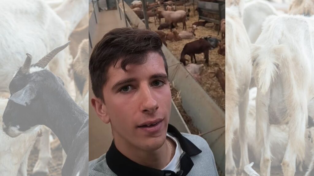 David Tomé (19 years old) bought a goat when he was 12 years old and is now in the “process of professionalizing my own livestock”