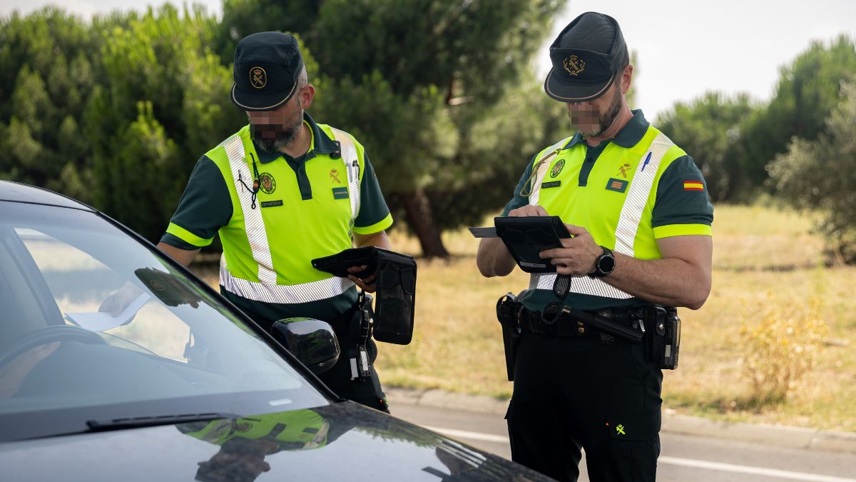 The Civil Guard warns those who travel with their pet loose in the car: “It can endanger all occupants”