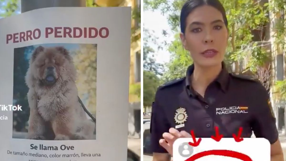 The National Police warns of the lost pet scam: “They play with your desperation”