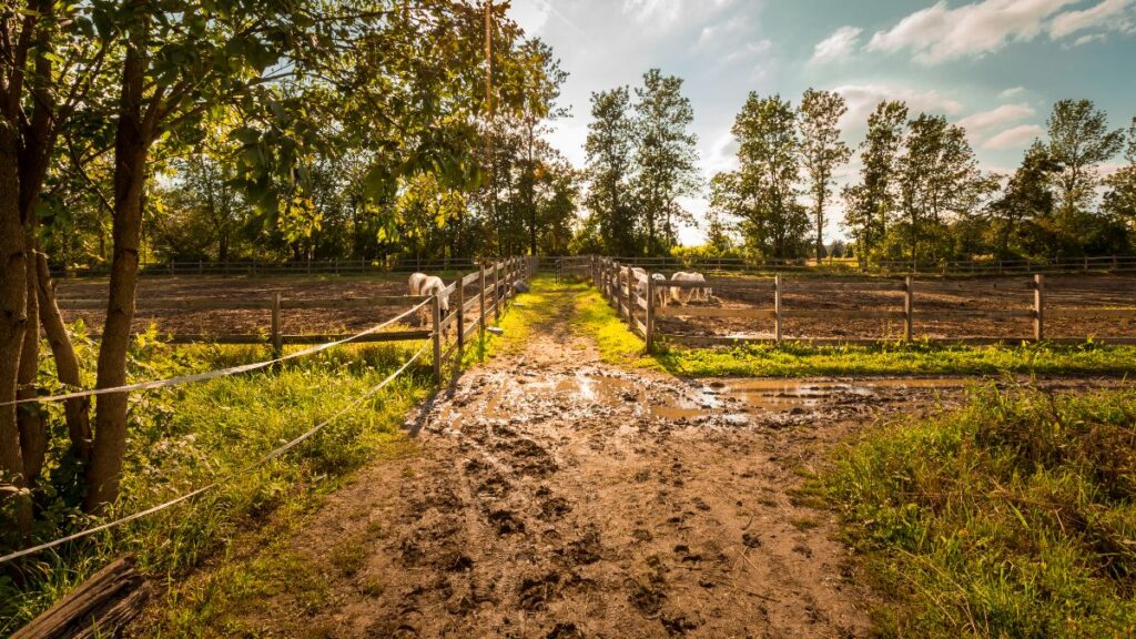 Who decides where a neighbor has to go when their property has no access to a public road?